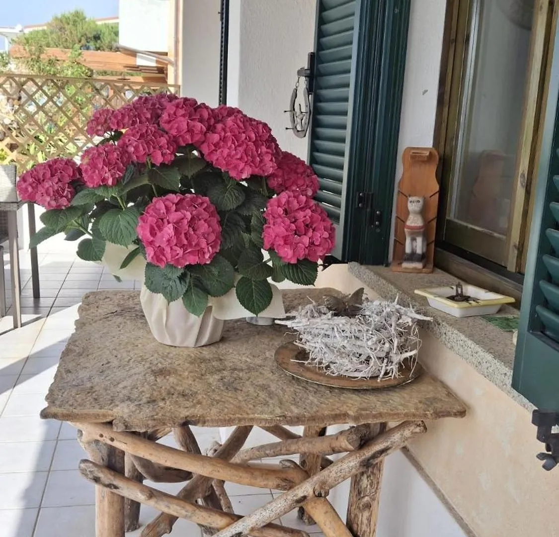 DA GIOVANNA casa vacanze Valledoria  Сasa de vacaciones Valledoria (Sardinia)